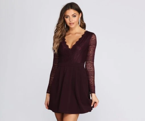 Windsor. Secret Obsession Lace Skater Dress -Specialtycookwareus 05101 8648 2
